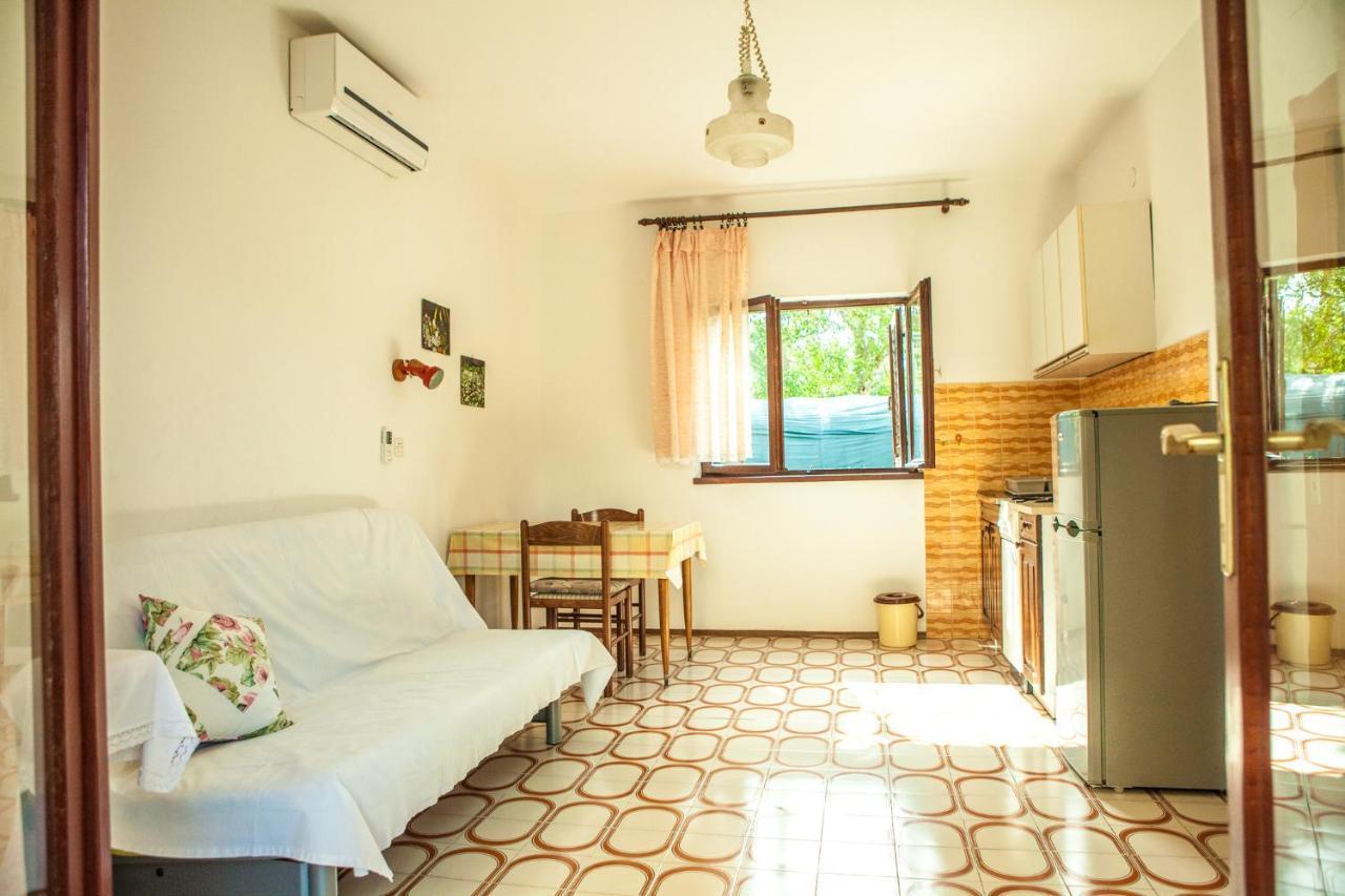 Apartments Alma Novalja Kültér fotó